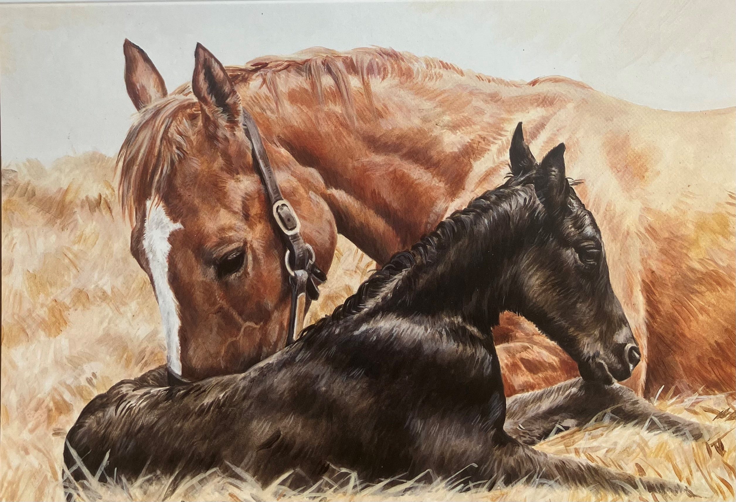 Caroline Cook Equestrian Cards image 8